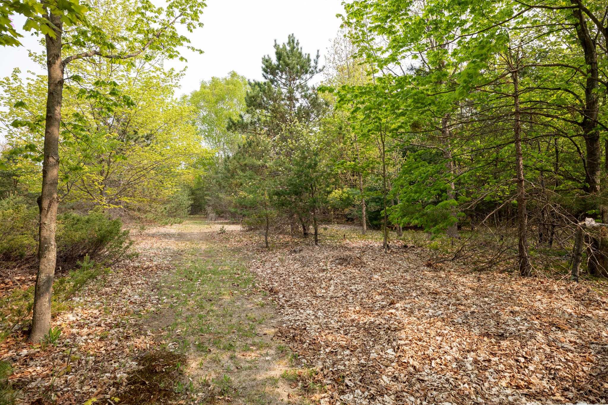 10942 Fowler Road Honor, MI 49640 - Photo 18 of 42