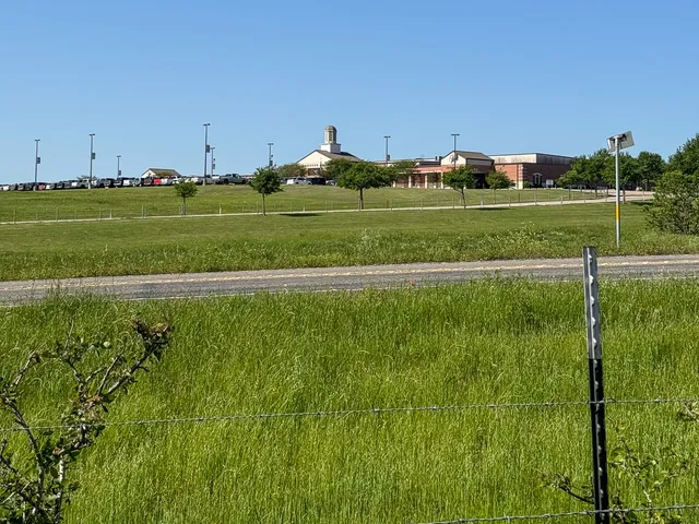 a view of a grassy field with trees