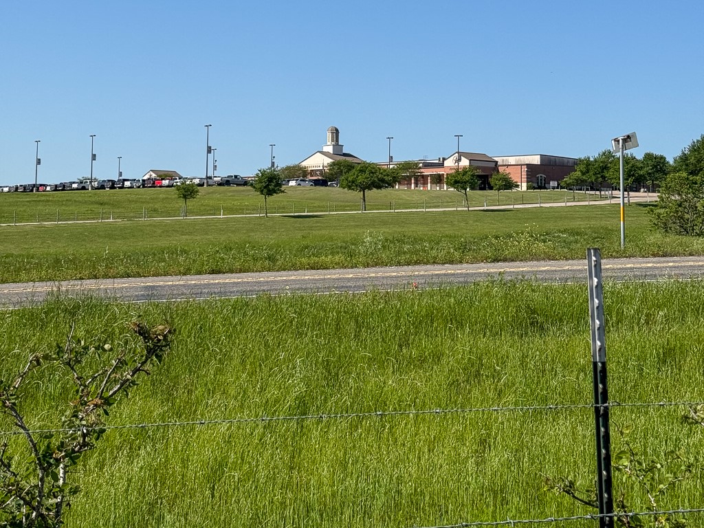 a view of a grassy field with trees