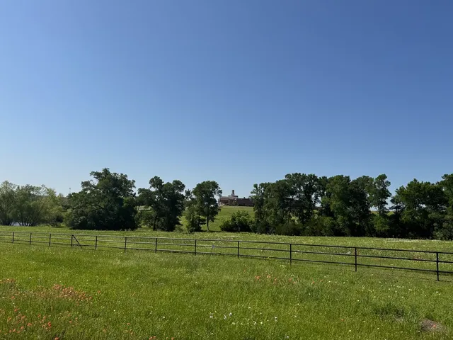 a view of outdoor space and yard