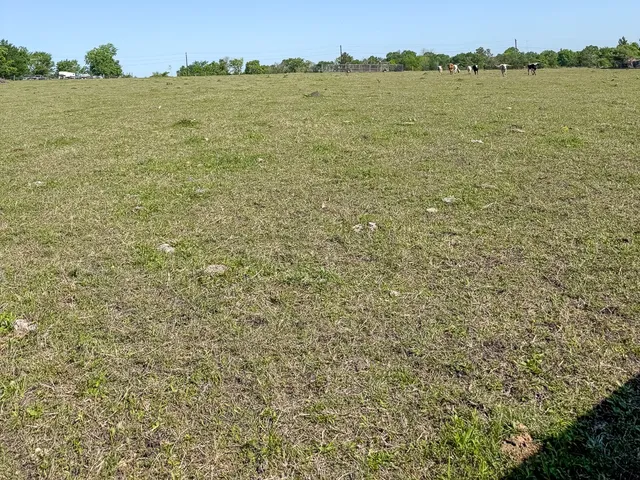 a view of an ocean from a yard