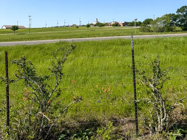 a view of a field with an ocean