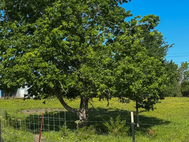 a view of an outdoor space and a yard