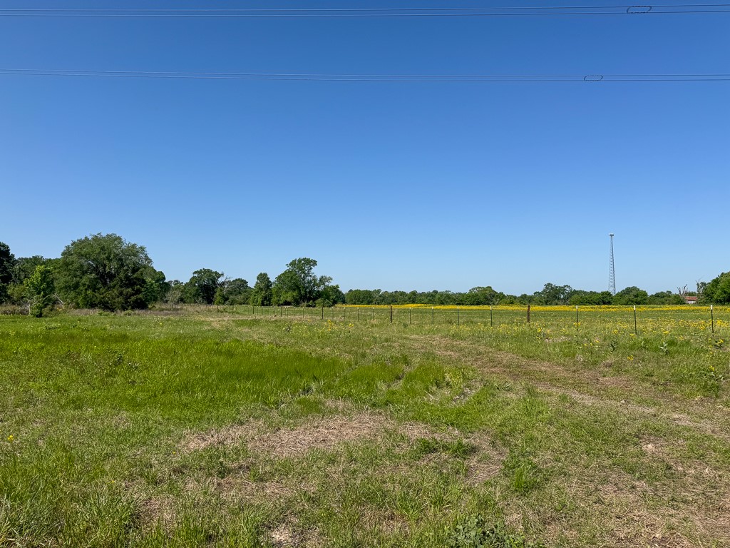 1496 Farm To Market 149 Anderson, TX 77830 - Photo 3 of 22 a view of lake and mountain view
