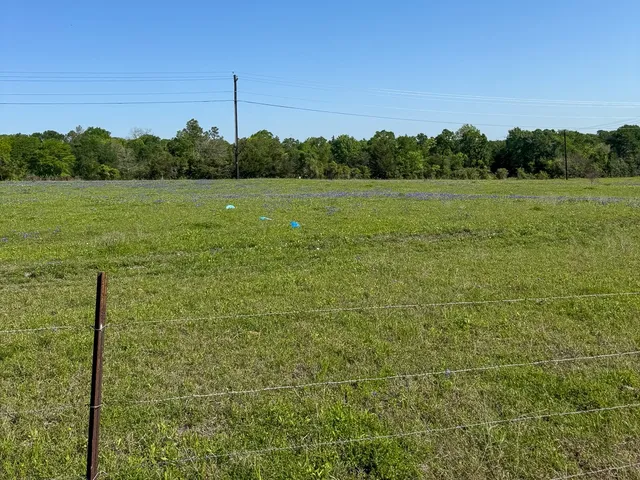 a view of a field with an ocean view