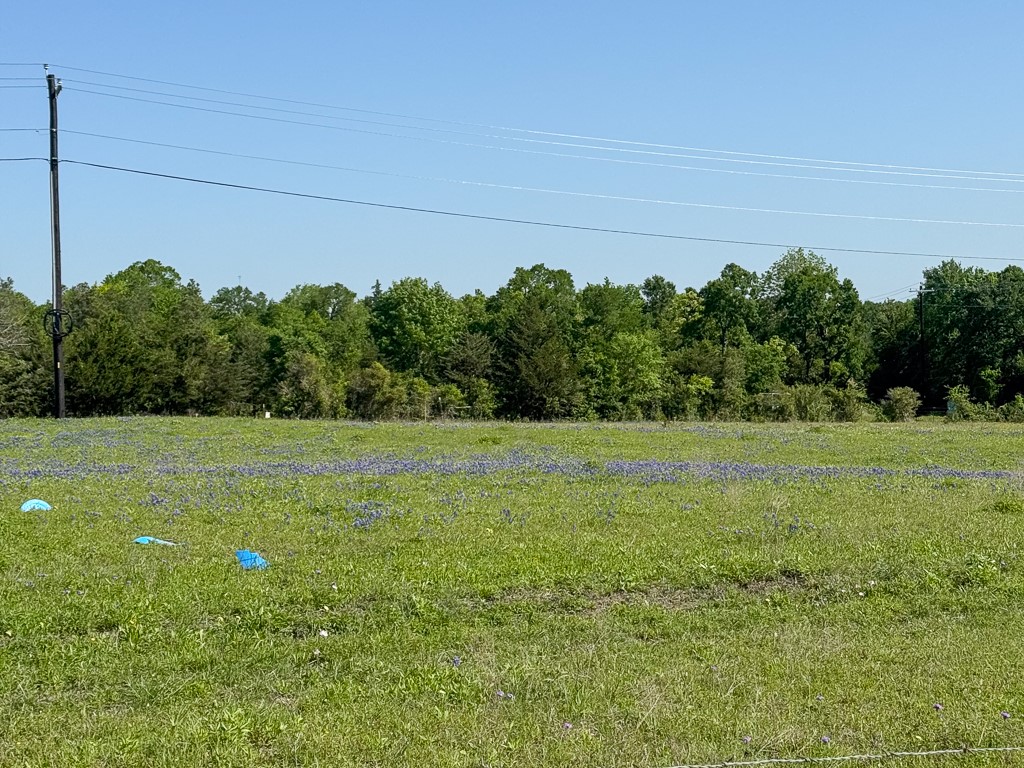 1496 Farm To Market 149 Anderson, TX 77830 - Photo 7 of 22 a view of a field of grass and trees