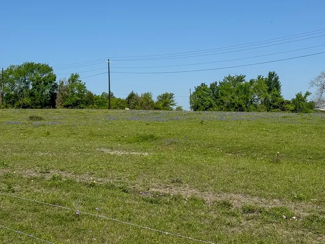a view of a field with an trees