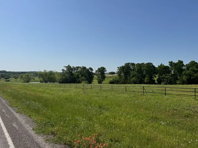 a view of field with grass and trees