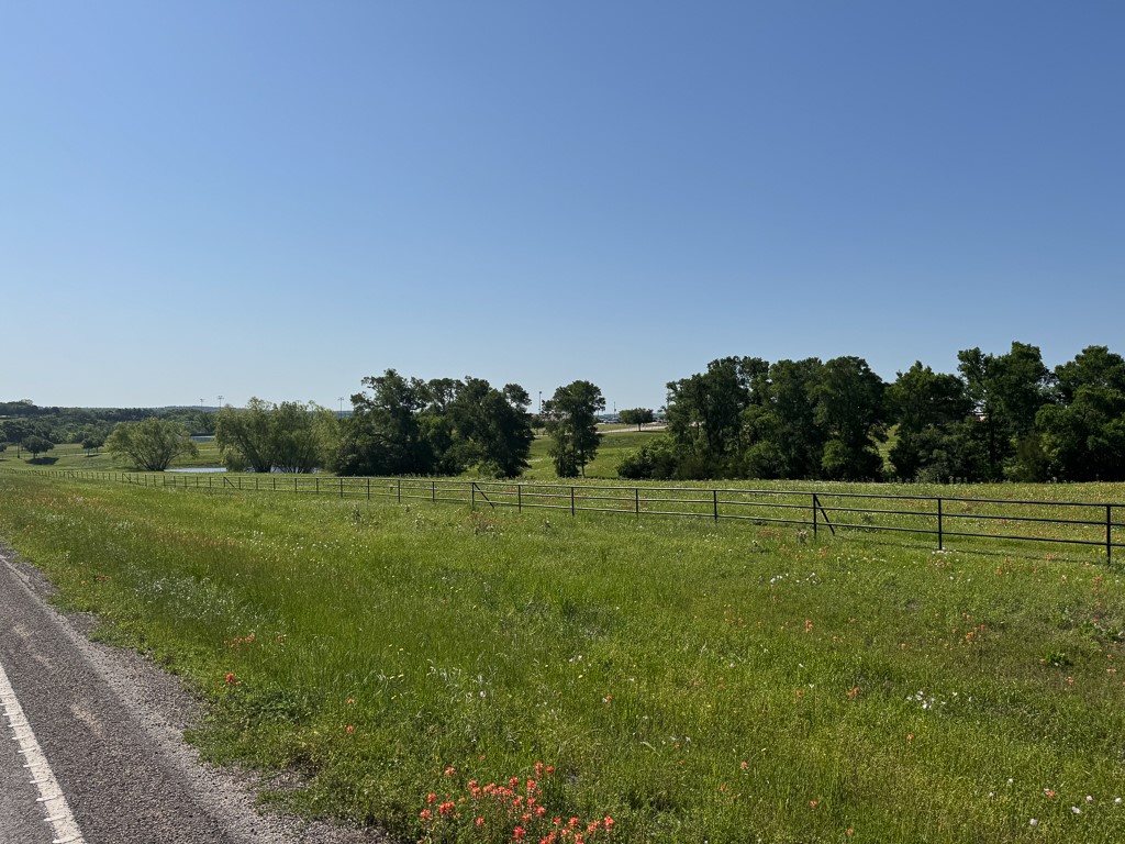 1496 Farm To Market 149 Anderson, TX 77830 - Photo 10 of 22 a view of field with grass and trees