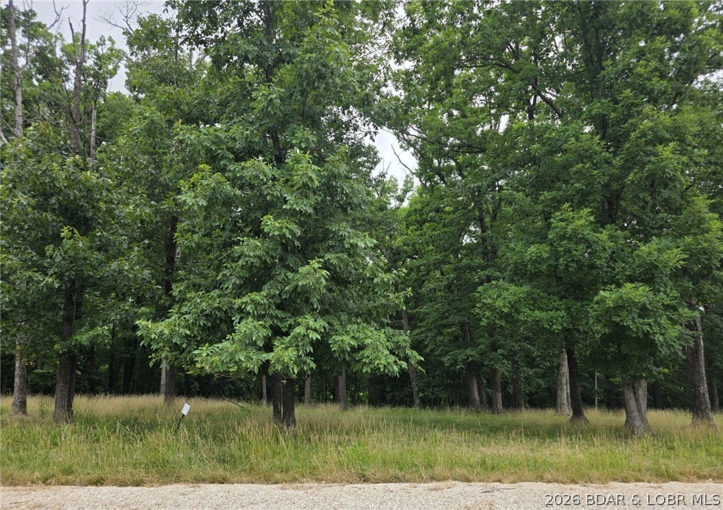 Lot 121 Terry Rd Lake Lake Ozark, MO 65049 - Photo 2 of 16