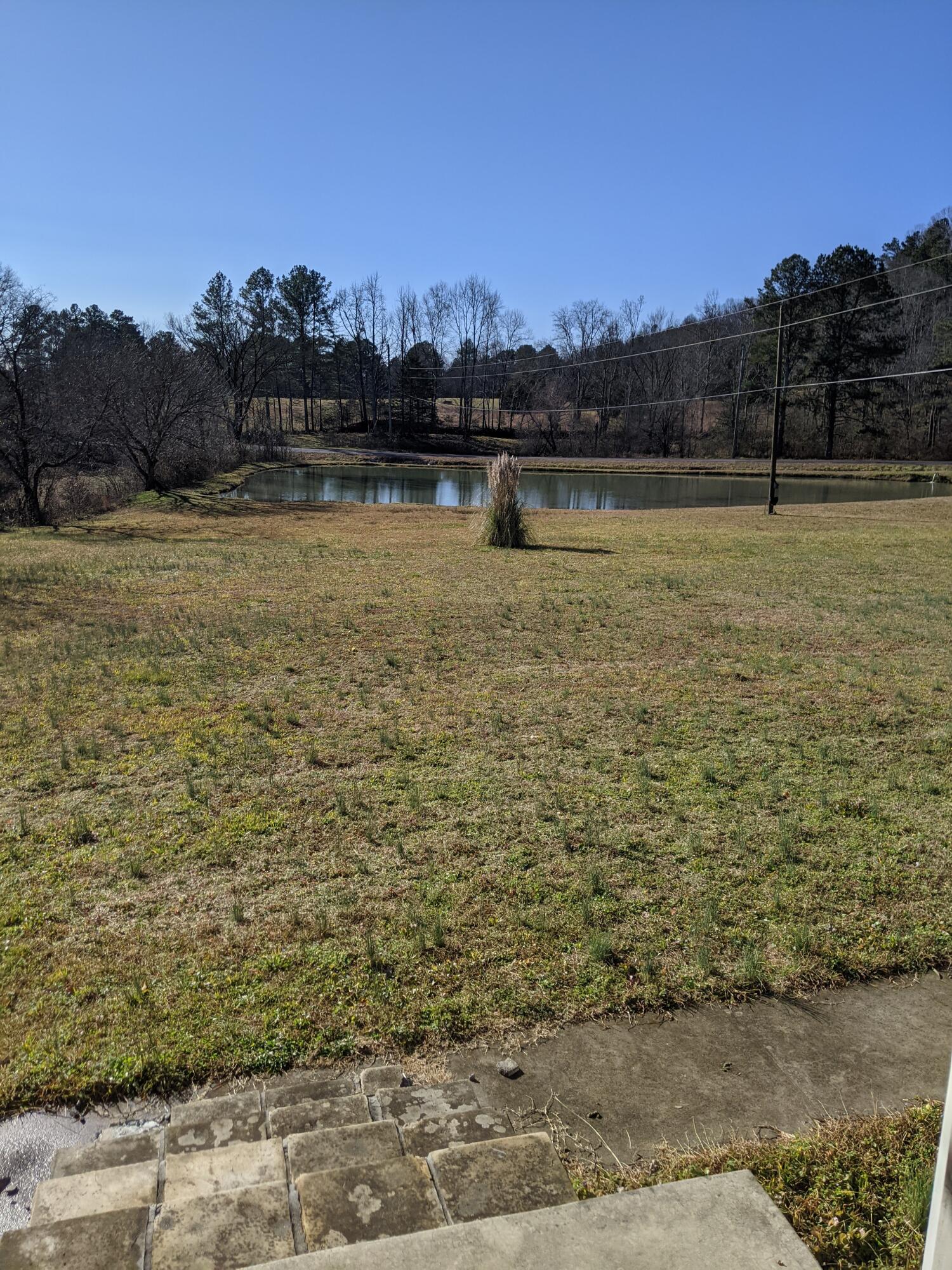 2299 East Emerson Road Cohutta, GA 30710 - Photo 2 of 3 PXL_20210126_154913811