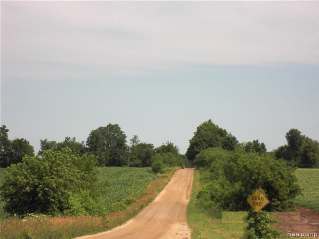 1579 North Paris Road Trufant, MI 49347 - Photo 6 of 6 7110411324 Street view.jpg