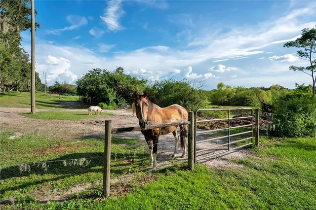 $445,000 | 5720 Old Homeland Road, Bartow, FL 33830