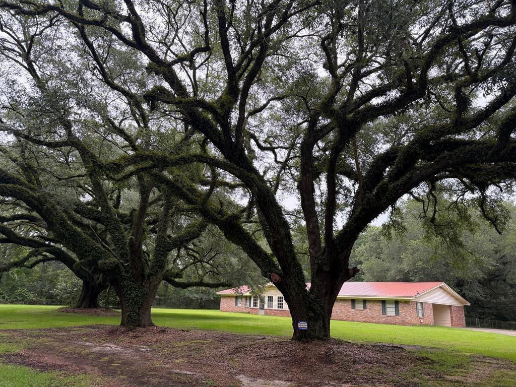 608 R V Lindley Road Moselle, MS 39459 - Photo 2 of 20 Gallery Image 2