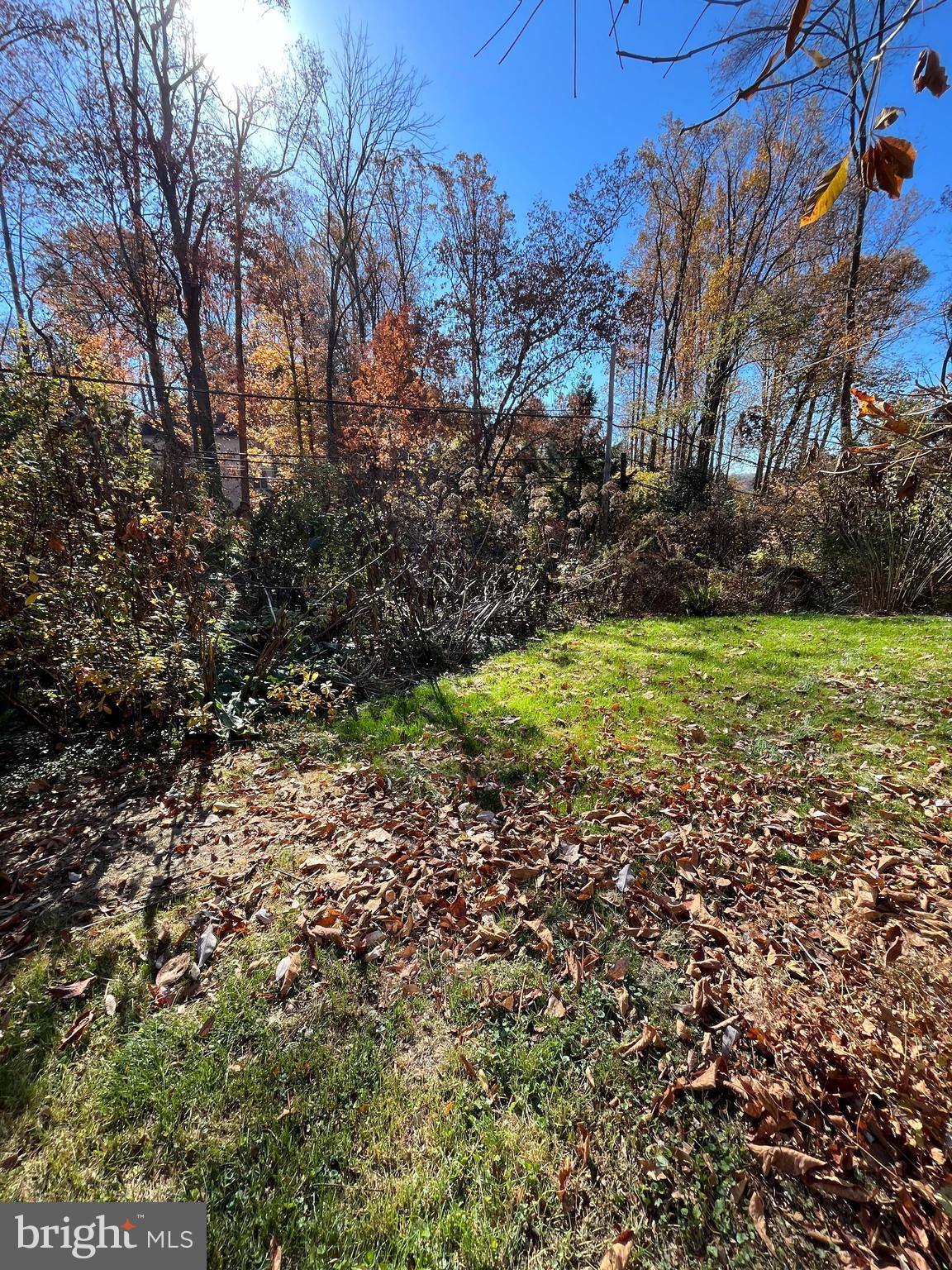 716 South Roberts Road Bryn Mawr, PA 19010 - Photo 39 of 39 a garden with trees
