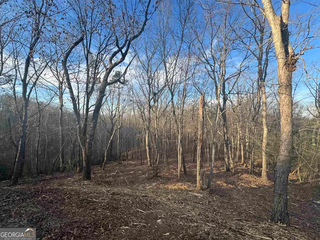$54,900 | Lot 57 Teel Mountain Drive, Cleveland, GA 30528