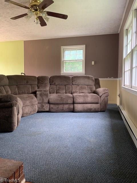 194 Kingston Road Eden, NC 27288 - Photo 5 of 17 Gallery Image 5