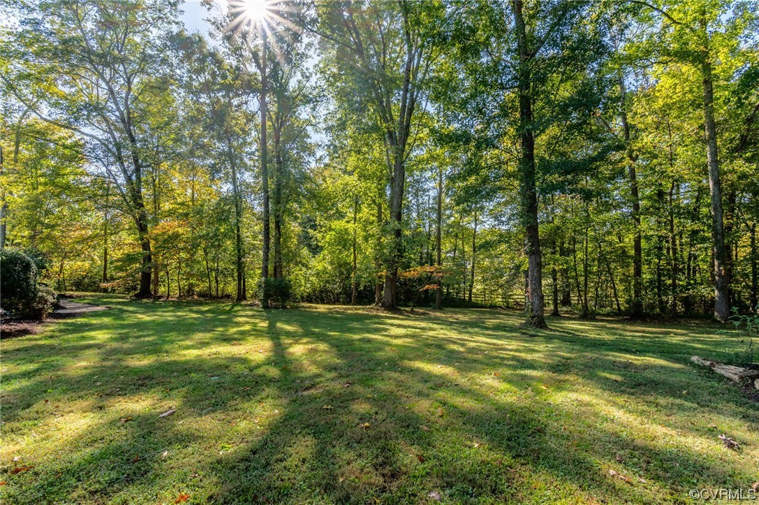 2382 Pony Farm Road Maidens, VA 23102 - Photo 28 of 34 a big yard with trees