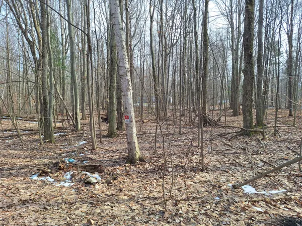 $14,900 | V/l Birch Street, Unit LOT 10 11 12 BL 13, Ludington, MI 49431