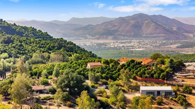 a view of a road with a trees