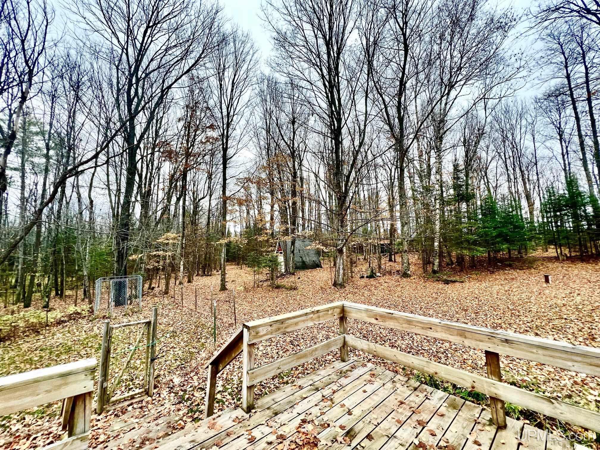 W8487 Leeman Road Sagola, MI 49881 - Photo 4 of 28