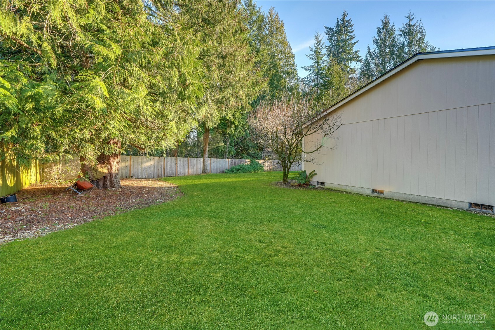 24005 72nd Avenue East Graham, WA 98338 - Photo 27 of 32 a view of backyard with tree