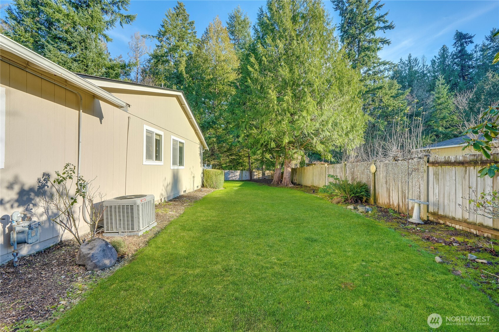 24005 72nd Avenue East Graham, WA 98338 - Photo 28 of 32 a backyard of a house with plants and large trees