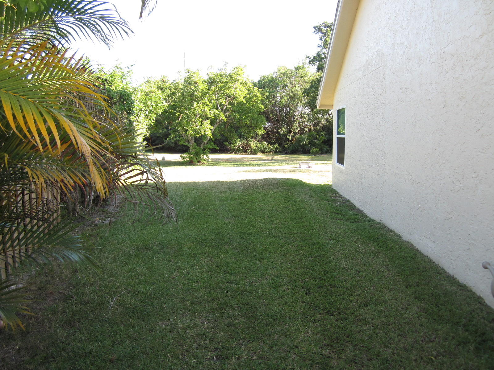 22686 Pickerel Circle Boca Raton, FL 33428 - Photo 29 of 46 side yard