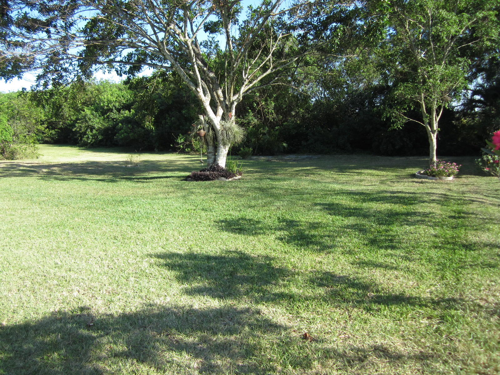22686 Pickerel Circle Boca Raton, FL 33428 - Photo 31 of 46 oversize yard