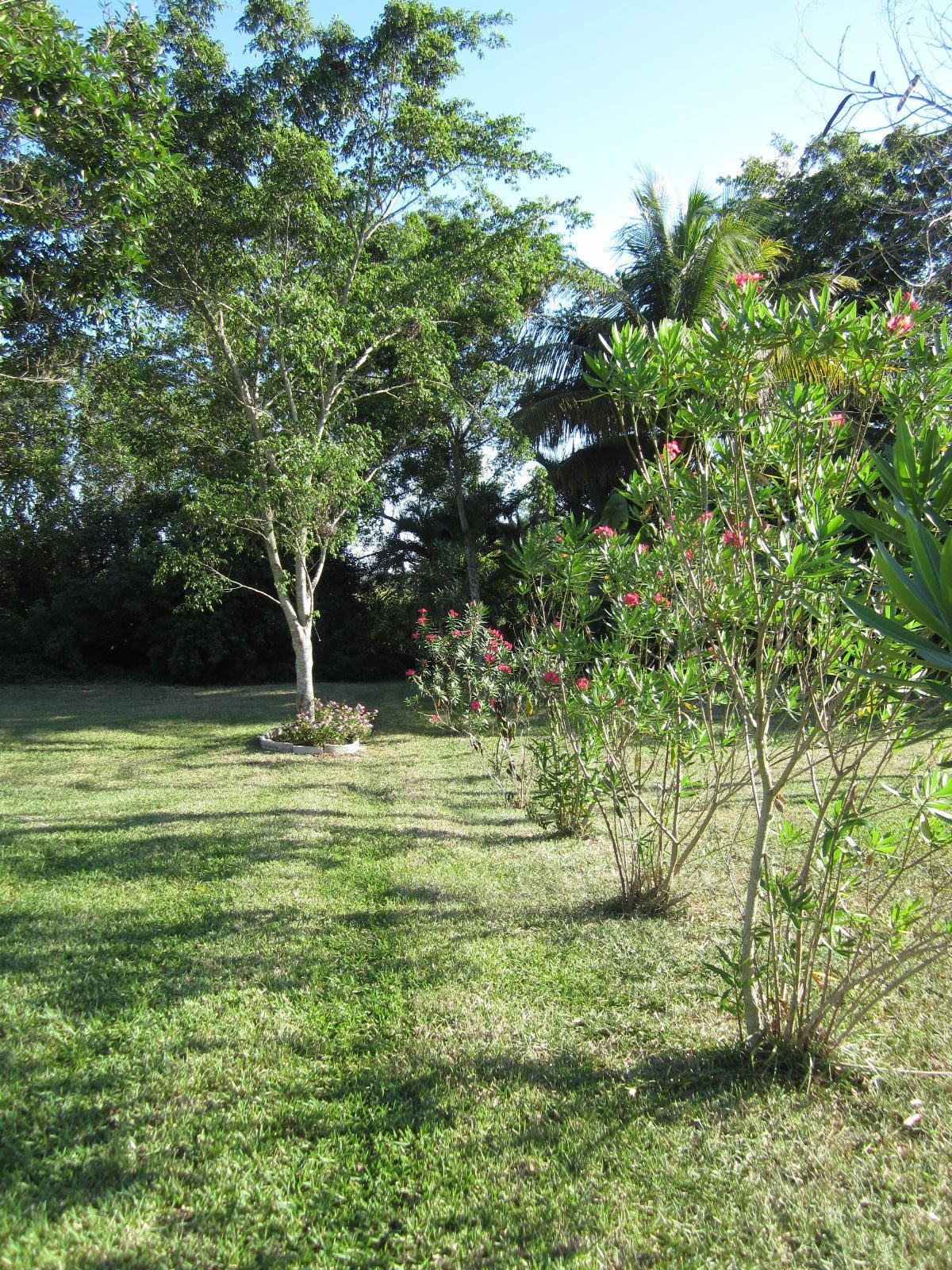 22686 Pickerel Circle Boca Raton, FL 33428 - Photo 35 of 46 back yard