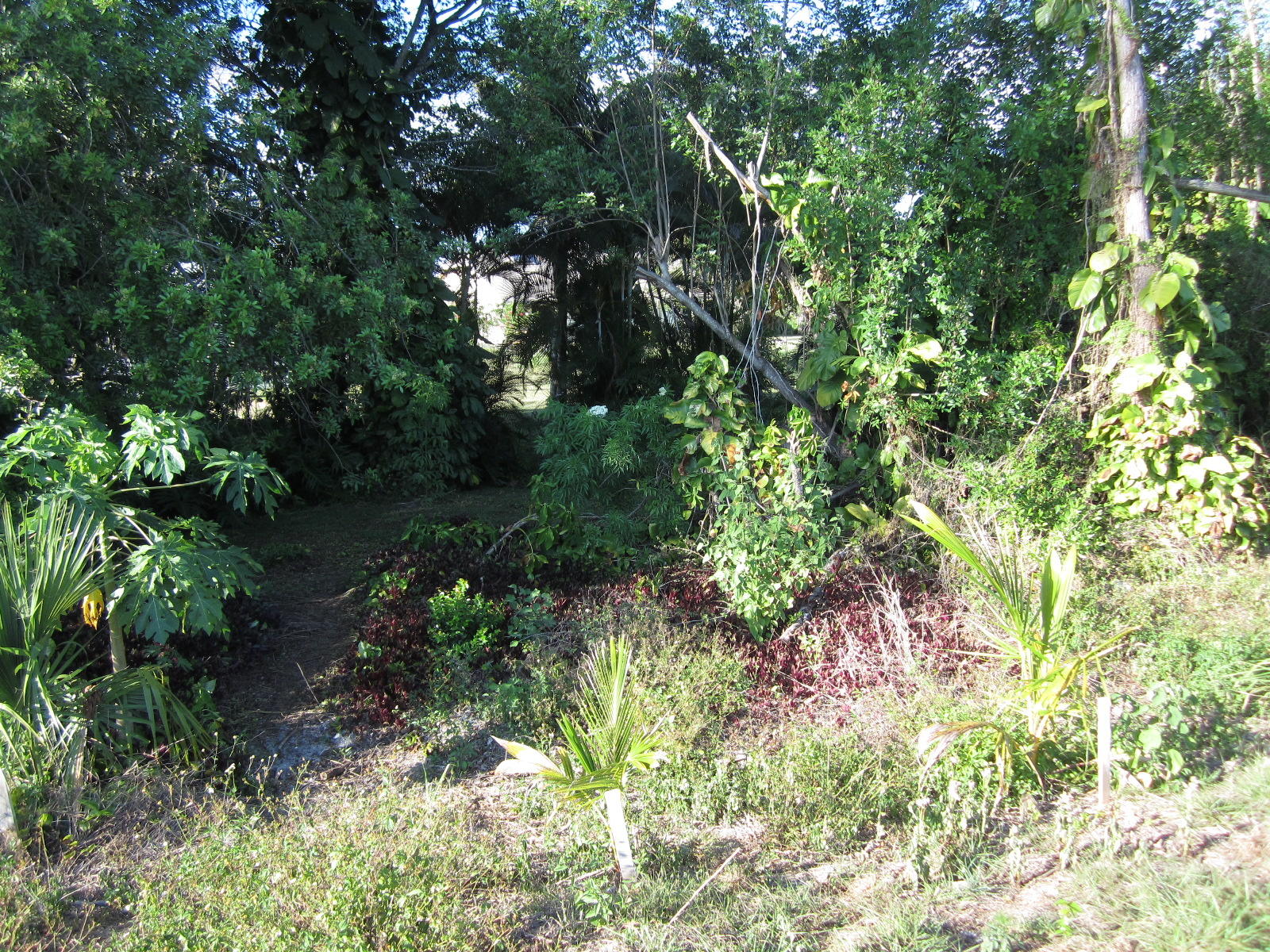 22686 Pickerel Circle Boca Raton, FL 33428 - Photo 38 of 46 IMG_4535