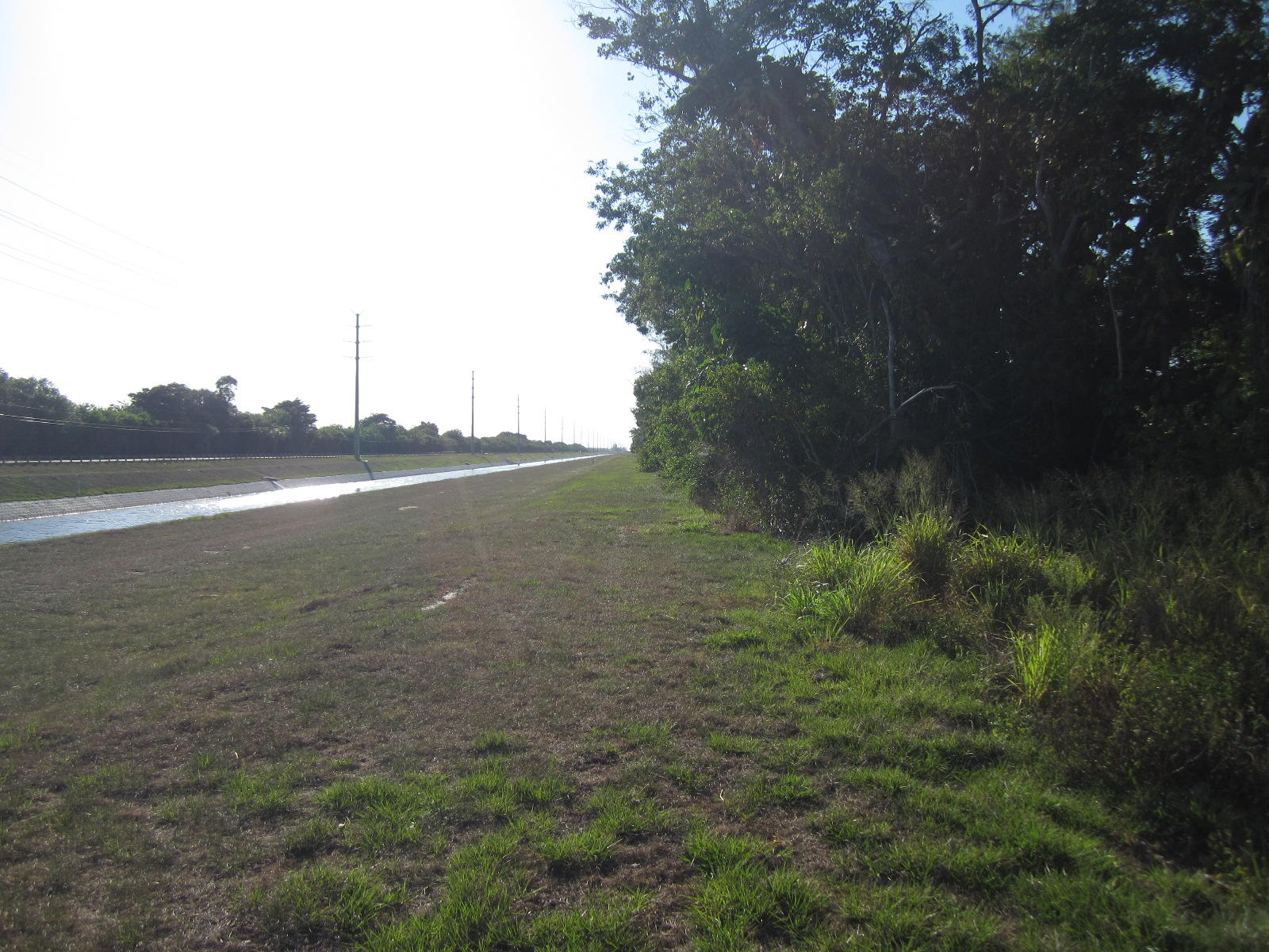 22686 Pickerel Circle Boca Raton, FL 33428 - Photo 40 of 46 Hillsboro canal