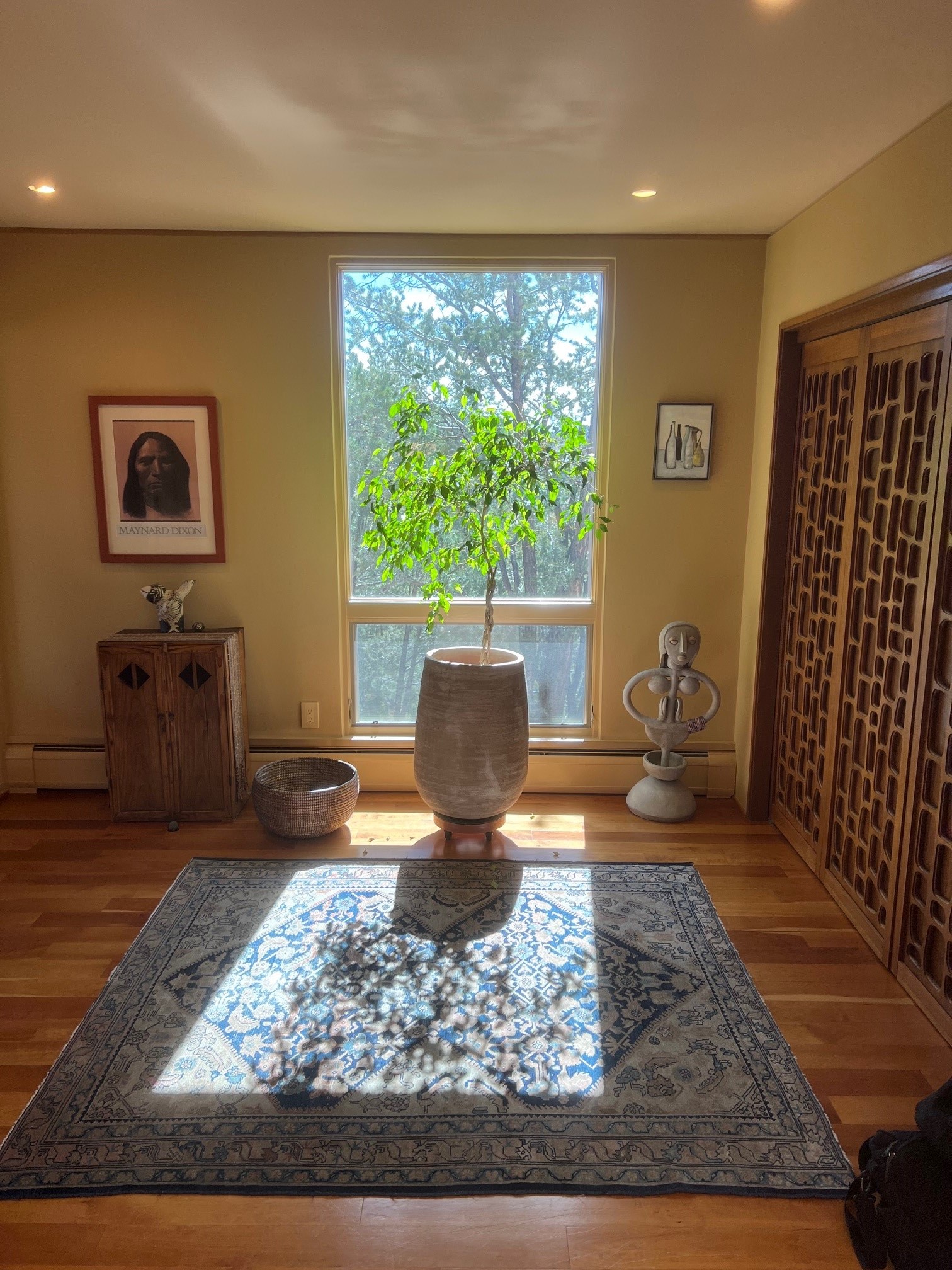 111 Barranca Road Santa Fe, NM 87501 - Photo 9 of 74 Entry
