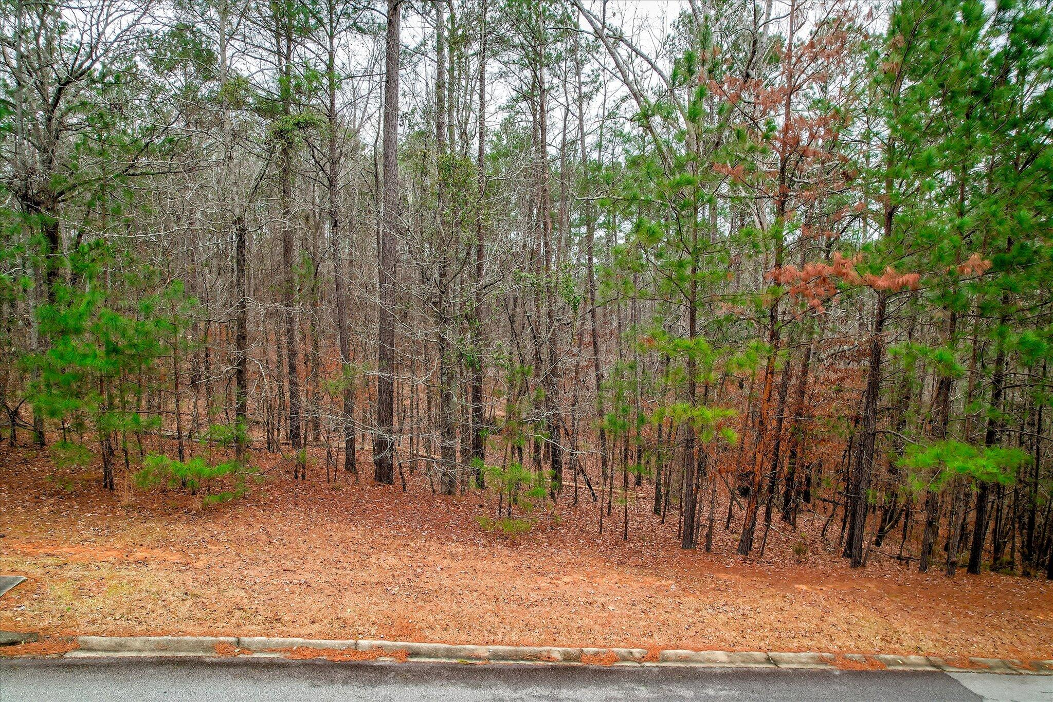 Lot K-18 Lot K-18 Collin Reeds Road Edgefield, SC 29824 - Photo 1 of 24