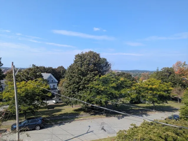 a view of a yard with plants and a building