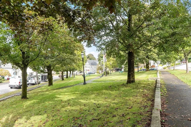 a view of a trees with a yard
