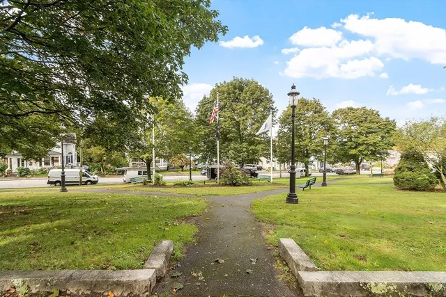 a view of a trees in a park