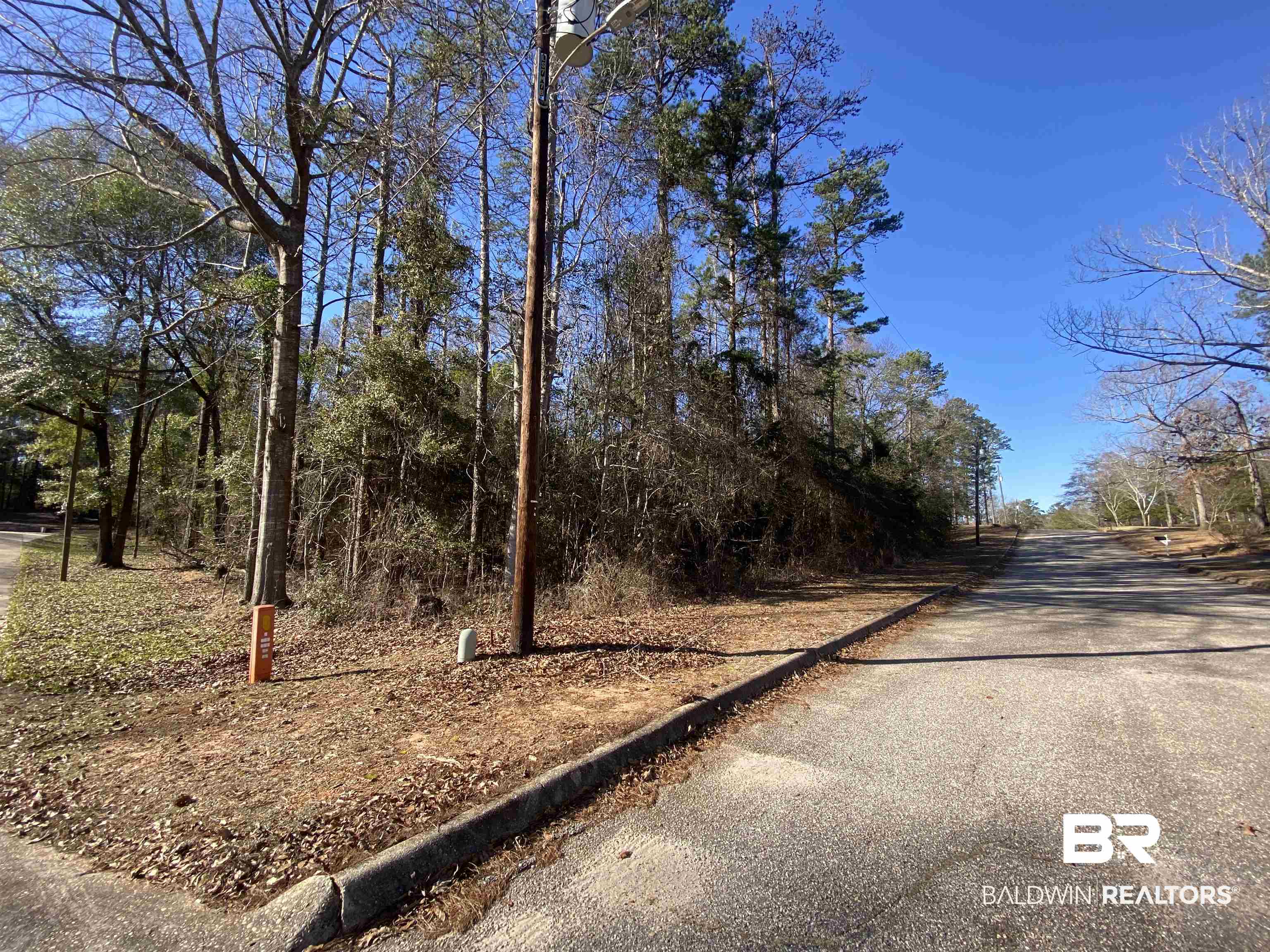 0 Norwood Road Monroeville, AL 36460 - Photo 2 of 5