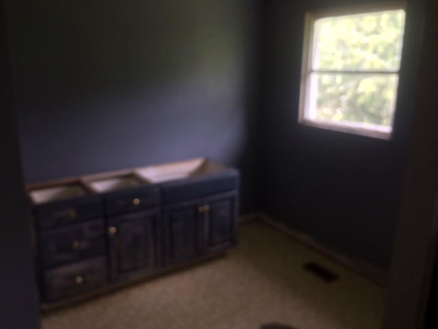 737 Brow Road Trenton, GA 30752 - Photo 6 of 14 image5