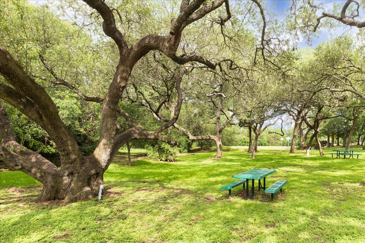 7136 Ridge Oak Road Austin, TX 78749 - Photo 26 of 28 A tranquil green expanse offers mature trees and ample space for outdoor enjoyment.