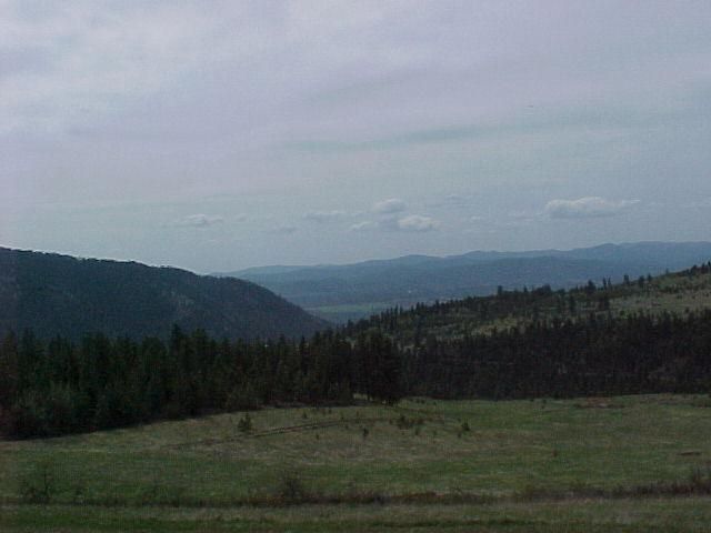 Tbd Breckenridge Rice, WA 99167 - Photo 3 of 9