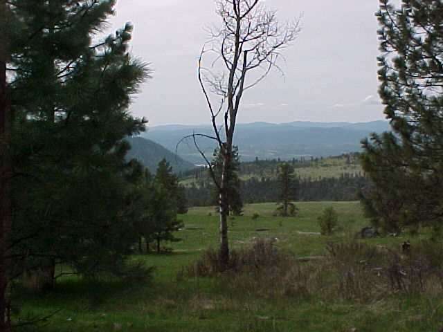 Tbd Breckenridge Rice, WA 99167 - Photo 4 of 9