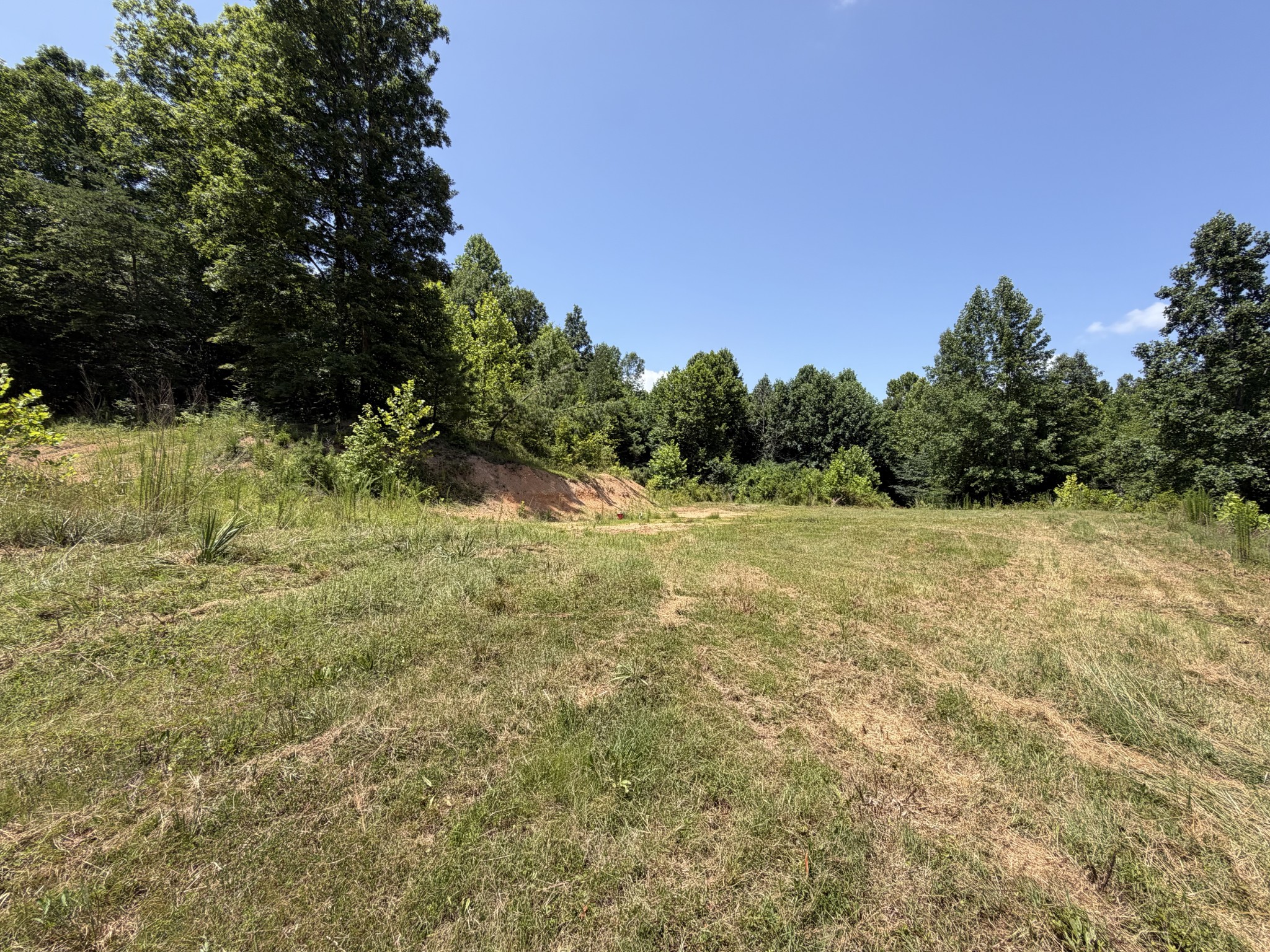 215 Bar Bee Road Hohenwald, TN 38462 - Photo 13 of 51