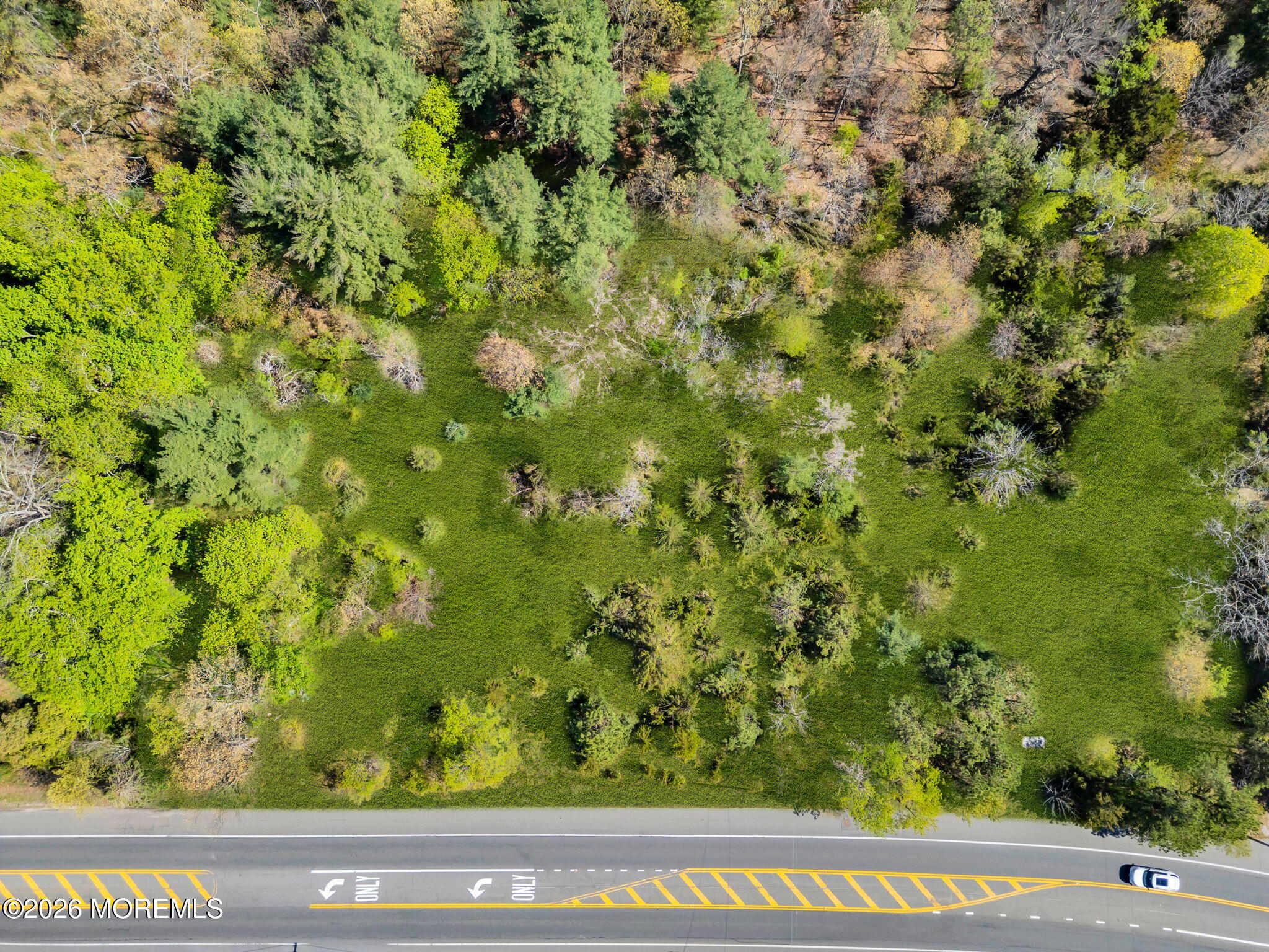 91 Lacey Road Whiting, NJ 08759 - Photo 7 of 13 12-web-or-mls-DJI_0266-1