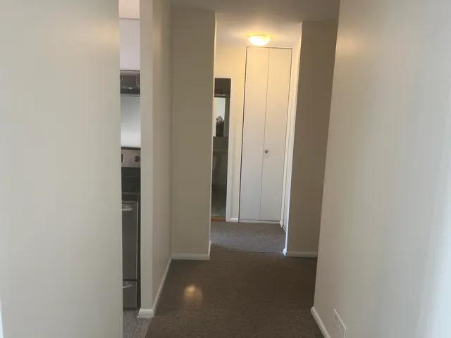 $3,600 | 1360 North Sandburg Terrace, Unit 401C, Chicago, IL 60610