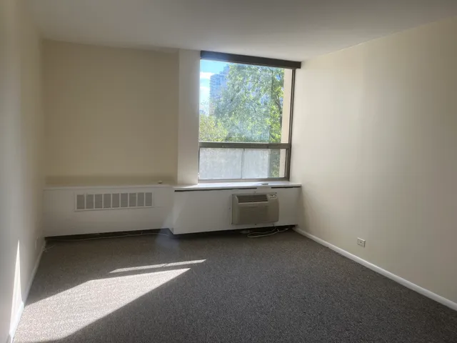 $3,600 | 1360 North Sandburg Terrace, Unit 401C, Chicago, IL 60610