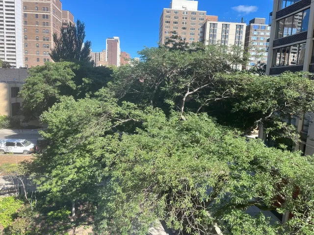 $3,600 | 1360 North Sandburg Terrace, Unit 401C, Chicago, IL 60610