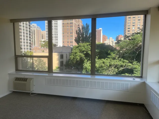 $3,600 | 1360 North Sandburg Terrace, Unit 401C, Chicago, IL 60610