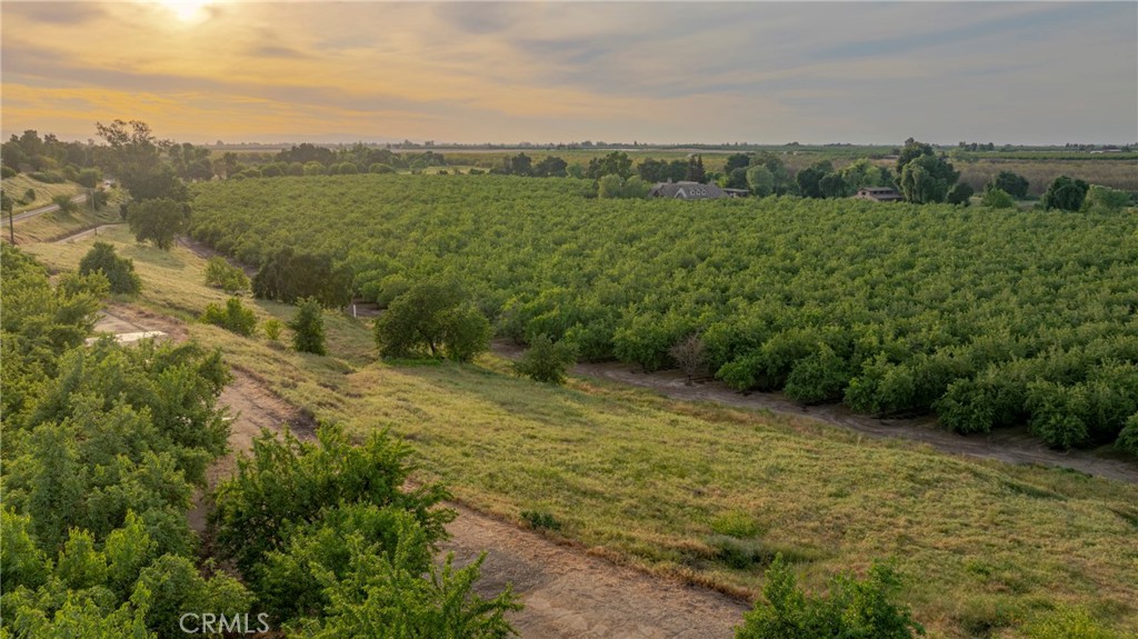 a view of a lush green outdoor space with a lake view