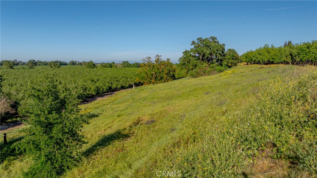 0 Livingston Cressey Road Livingston, CA 95334 - Photo 18 of 23